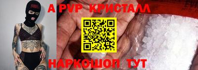 гидра Будённовск