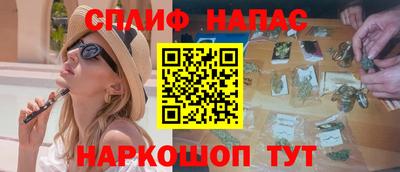 гидра Будённовск