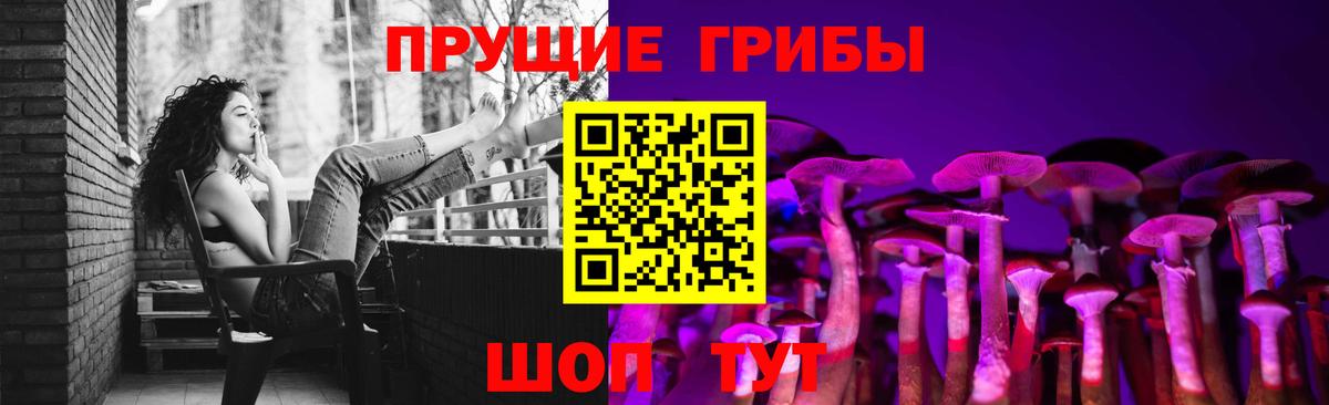 Галлюциногенные грибы прущие грибы  Вход с VPN  Майкоп 